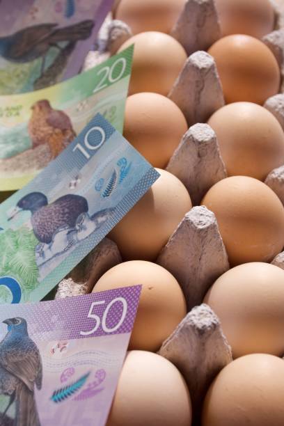 istock New Zealand Cash (NZD) and Eggs 1464292009