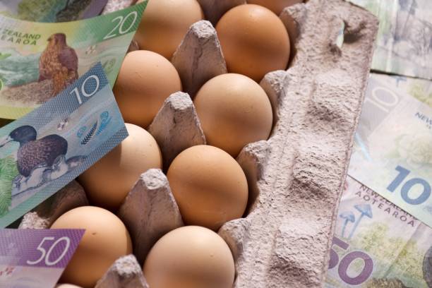 istock New Zealand Cash (NZD) and Eggs 1464292585