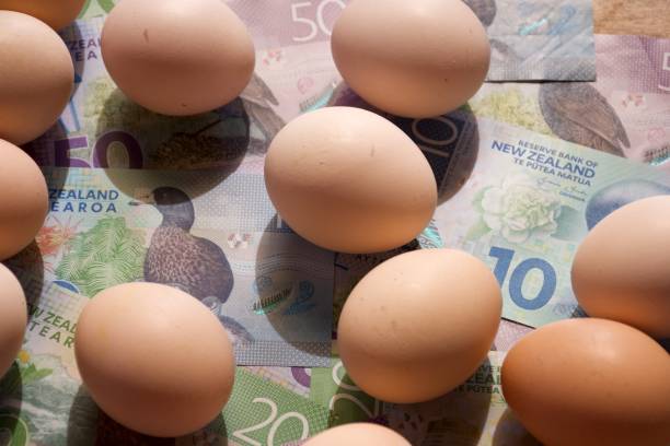 istock New Zealand Cash (NZD) and Eggs 1464293203