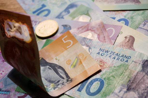 istock New Zealand Money (NZD) 1464295864