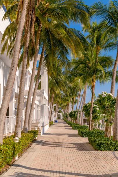 istock Bricks pavement on a walkway at Miami River Walk in Miami, Florida 1464312621