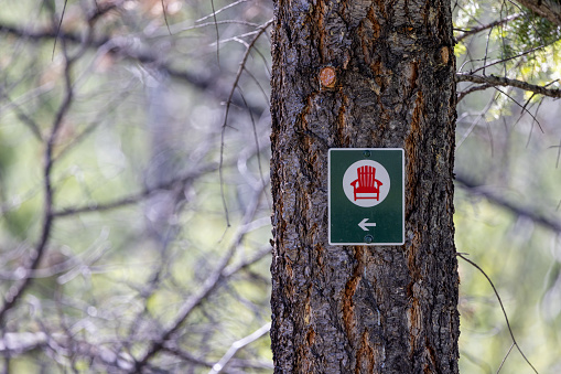 Parks Canada Red Chair Sign on Tree, Jasper, Alberta, Canada