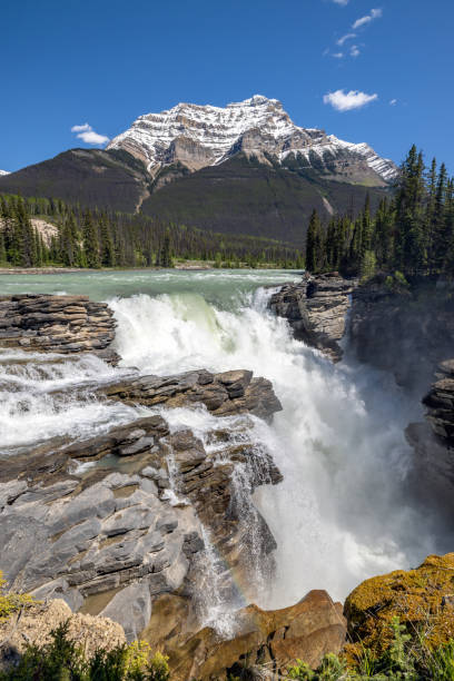 Athabasca Falls in Jasper National Park During Summer, Alberta, Canada stock photo