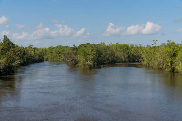 istock Two river waterways running through the forest with trees at Navarre, Florida 1464320324