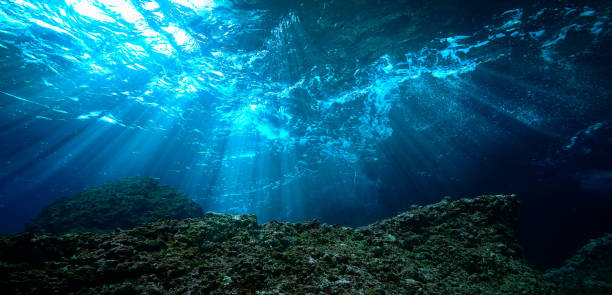 istock Lights underwater in the blue 1464322883