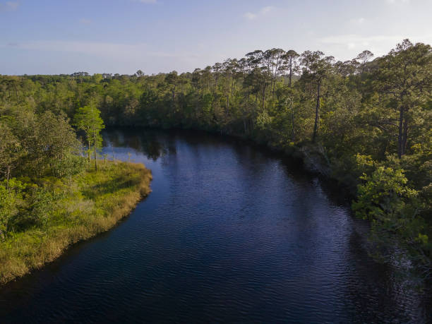 istock Curved river waterway through the forest at Navarre, Florida 1464323746