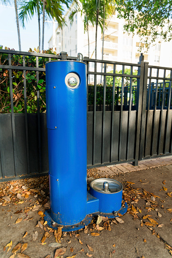 Blue drinking water fountain on a ground with dried leaves outdoors at Miami, Florida. Water fountain outside a black steel fence against the view of bushes and trees near the building at the back.