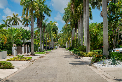 Street on a quiet wealthy neighborhood at Miami, Florida. There is a concrete way in the middle of the gated residences with plants and palm trees at the front.