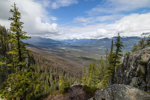 Scenic View Of Jasper Area From Edge Of The World Hiking Trail, Jasper, Alberta, Canada