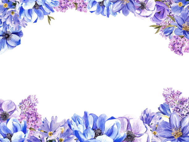 ilustrações, clipart, desenhos animados e ícones de quadro de flores da primavera em um fundo branco. ilustração em aquarela isolada - lilac bush nature flower bed