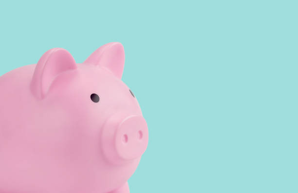 istock Close up pink piggy bank isolated on light blue background with clipping path. copy space. 1464332205