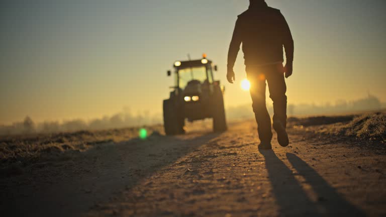 Male farmer walking toward tractor in agricultural field at sunrise