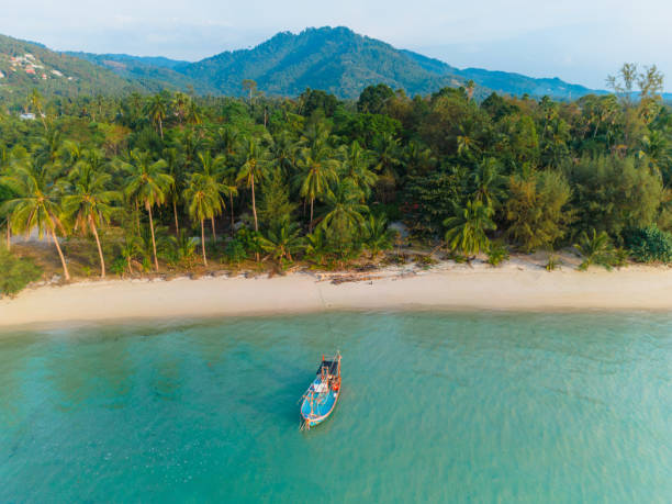 widok z lotu ptaka łodzi w pobliżu idyllicznej plaży na koh samui - thailand travel destinations tropical climate beach zdjęcia i obrazy z banku zdjęć