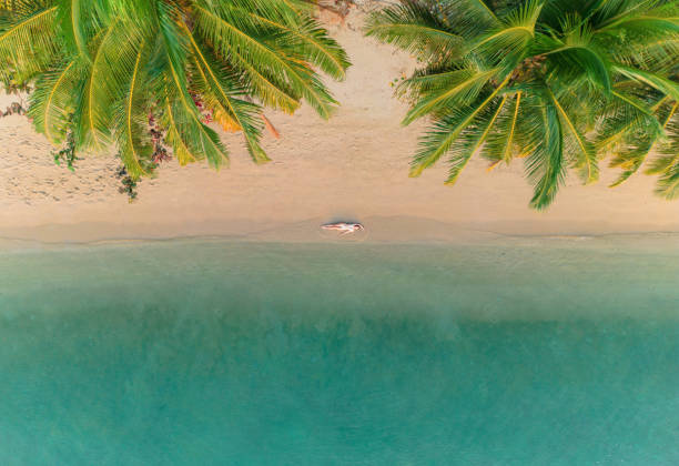 Aerial view of woman laying on idyllic tropical beach Aerial view of young woman laying on idyllic tropical beach on Ko Samui, Thailand indochina stock pictures, royalty-free photos & images