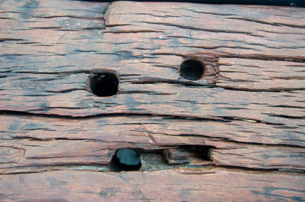 istock Brown natural wood grain surface like a smiling human face. 1464343552