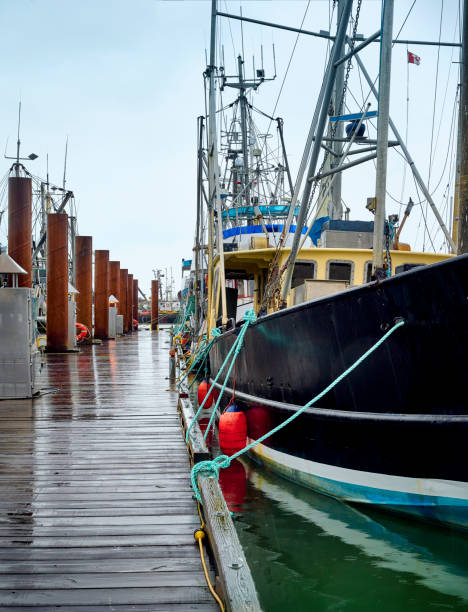 barcos de pesca no porto de steveston. waterfront steveston fisherman's wharf.  richmond, bc, canadá - vertical color image vancouver sea - fotografias e filmes do acervo