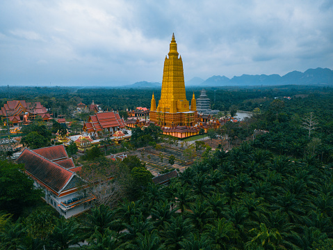 Scenic aerial view of buddhist temple and golden stupa surrounded by the jungles in Thailand