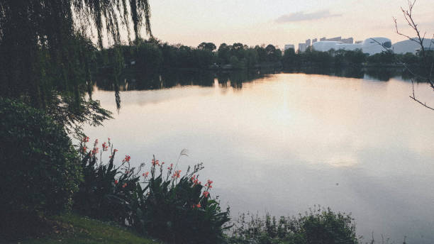 istock White House lake Campine 1464350180