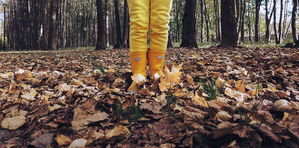 A child in yellow pants and rubber boots stands on dry, fallen, autumn leaves in a forest park. Clothes for damp and cool weather.
