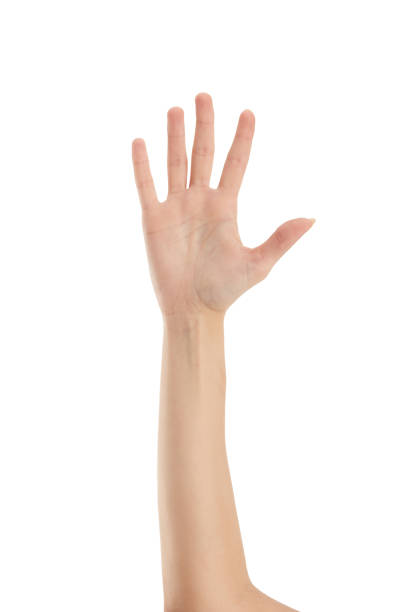 woman hand palm closeup isolated on white background