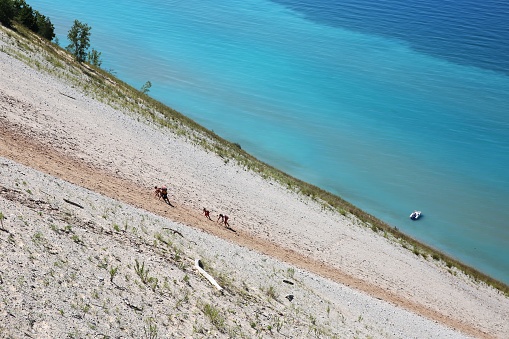 Tourists climbing steep sand dunes at Sleeping Bear Dunes National Lakeshore, Michigan