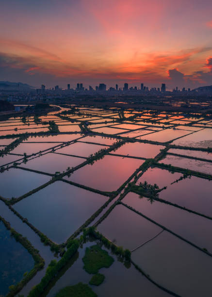 새벽의 나트랑 - vietnam halong bay bay photography 뉴스 사진 이미지
