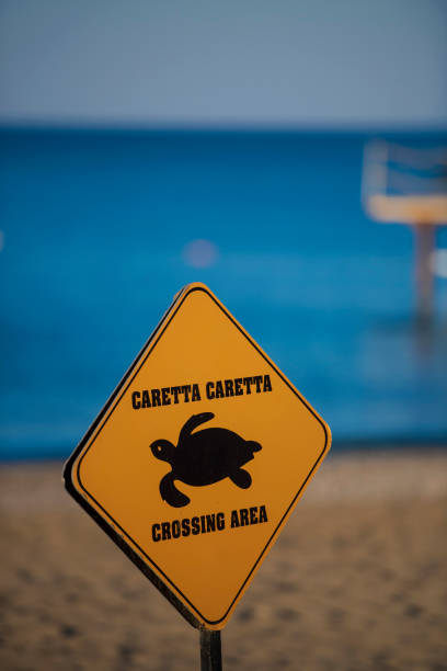 istock Landscapes - Caretta 1464368651