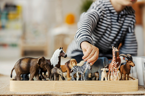 Hand of a child playing with figurines of wild animals and learning trough the game.