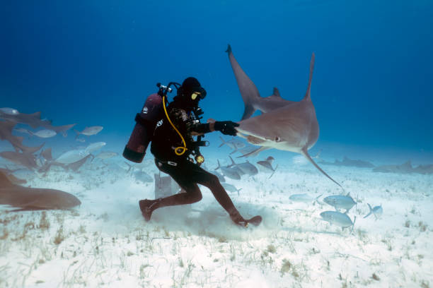 Young Man Scuba Diver between Water Surface and Sea Bottom