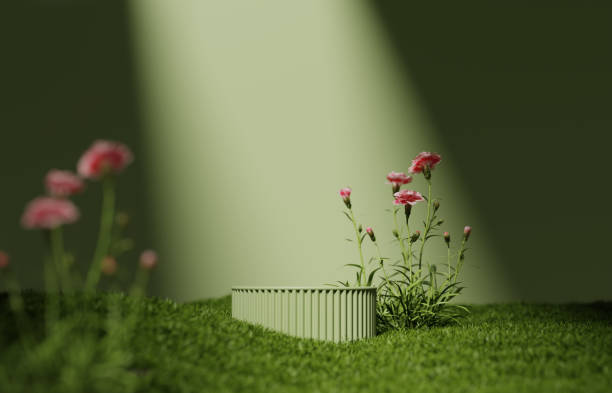 3D podium, display.  Green background with flower, green grass and sun shadow. Nature minimal pedestal. Beauty, cosmetic product presentation mockup. Spring, summer landscape. 3d render