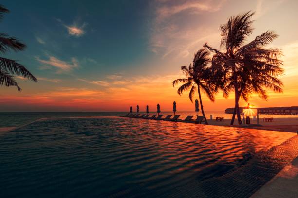 istock Luxury pool sunset, palm tree silhouette with windy infinity pool water surface. Summer vacation, holiday template. Stunning sky, beachfront hotel resort at tropical landscape tranquil. Amazing island 1464376008