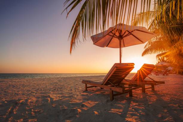 istock Beautiful tropical sunset scenery, two sun beds, loungers, umbrella under palm tree. White sand, sea view with horizon, colorful twilight sky, calmness and relaxation. Inspirational beach resort hotel 1464377005