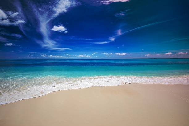 istock Closeup of sand on beach and blue summer sky. Panoramic beach landscape. Empty tropical beach and seascape. Orange and golden sunset sky, soft sand, calmness, tranquil relaxing sunlight, summer mood 1464381023
