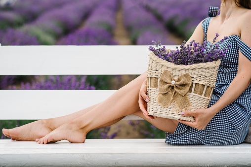 Girl holding a straw basket with lavender flowers and sitting on a white wooden swing and bench in a lavender field. A woman walks and enjoys the floral glade and summer nature. Closeup.