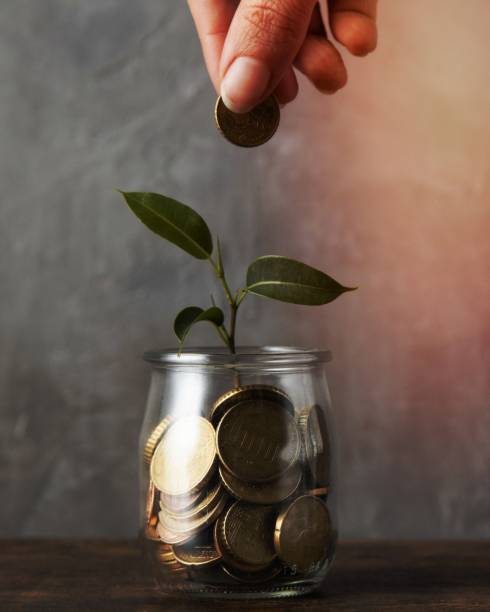 front view hand adding coin jar with plant other coins. High quality beautiful photo concept