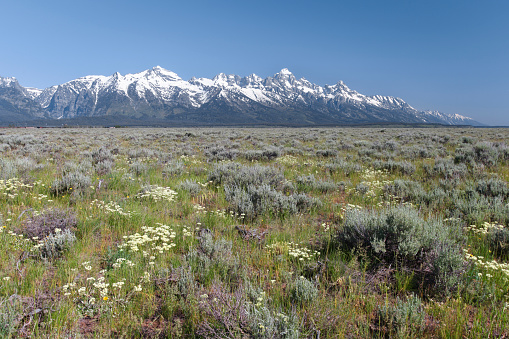 Scenic view of snowcapped mountains in front of blue sky, Grand Teton National Park, Wyoming, USA.