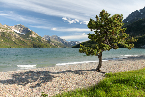 Scenic view of beach of Upper Waterton Lake with mountain range in background, Waterton Lakes National Park, Alberta, Canada.