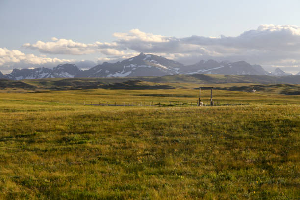 Pasture landscape stock photo