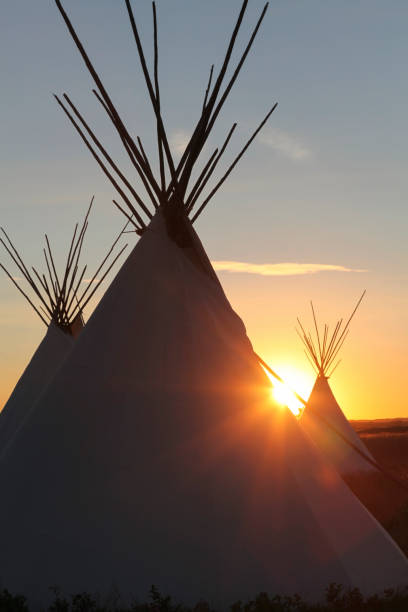 istock Domestic tent on landscape 1464385010