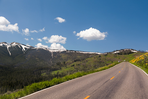 Mountain road passing through Yellowstone National Park, Wyoming, USA.