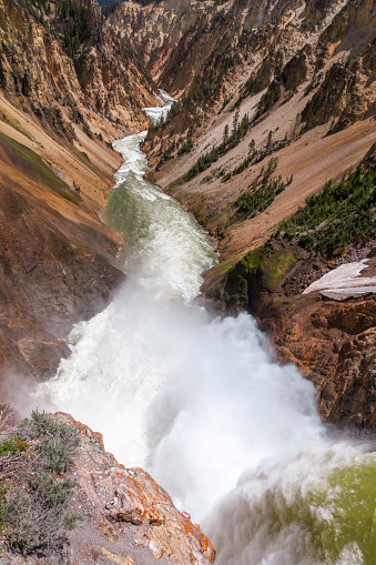 Elevated view of Brink of Lower Falls in Yellowstone National Park, Wyoming, USA.
