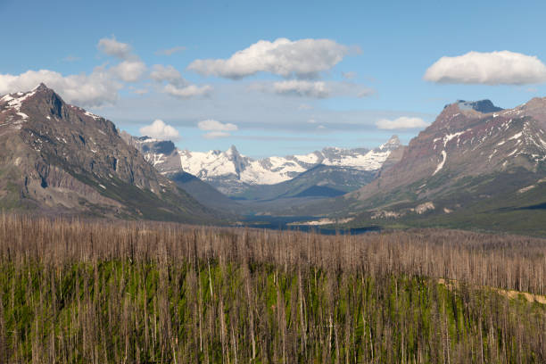 pasmo górskie w parku narodowym glacier - mountain montana mountain peak mountain range zdjęcia i obrazy z banku zdjęć