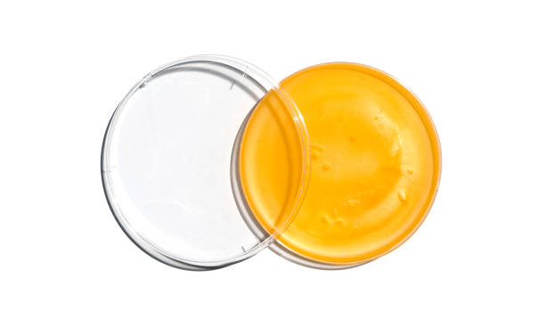 creme de banho em placa de petri com tampa de plástico sobre mesa de laboratório branca. ingrediente químico para cosméticos e produtos de higiene pessoal. vista superior - chemistry white petri dish design - fotografias e filmes do acervo