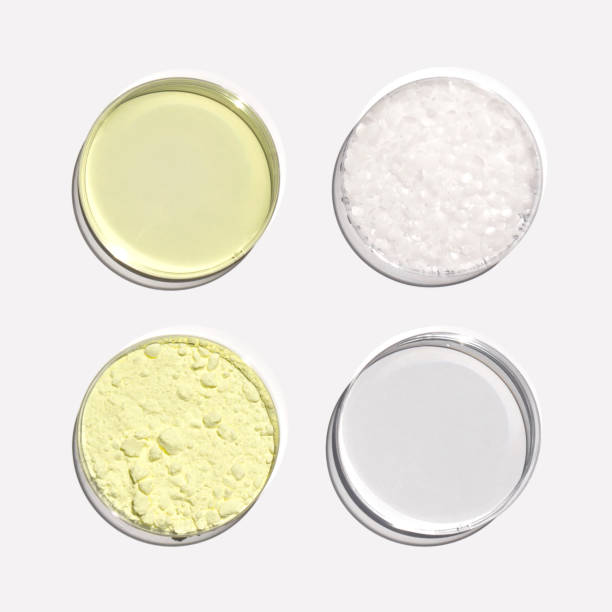 policloruro de aluminio líquido, cera microcristalina, alcohol y azufre en polvo en placa de petri. ingrediente químico para productos cosméticos y artículos de tocador. vista superior - chemistry white petri dish design fotografías e imágenes de stock