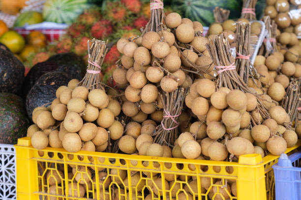 Fresh Longan Fruit At The Fruit Market Stall Traditional Fruits Of Thailand Stock Photo - Download Image Now - iStock