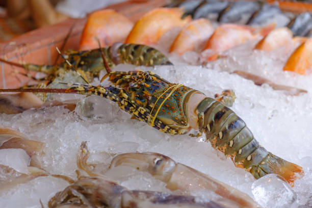 istock counter at a seafood restaurant, displaying a fresh catch for dinner 1464389518