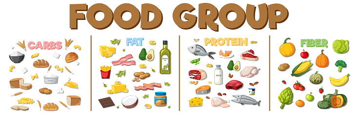 The four main food groups illustration
