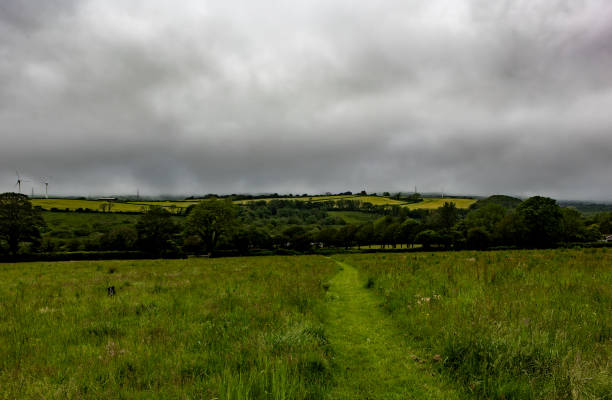 A cloudy sky on the horizon over green pasture field