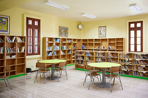 Wide angle view of bookshelves, literature, and round tables with chairs for school use.
