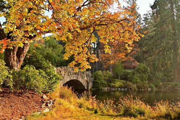 istock Small stone bridge over a pond in the park 1464394577